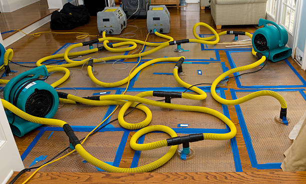 Professional Burst Pipe Water Damage technician working in Morton, PA